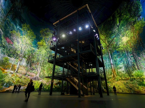 20171117_amazonien_c_christian_wyrwa_9211.-4zu3