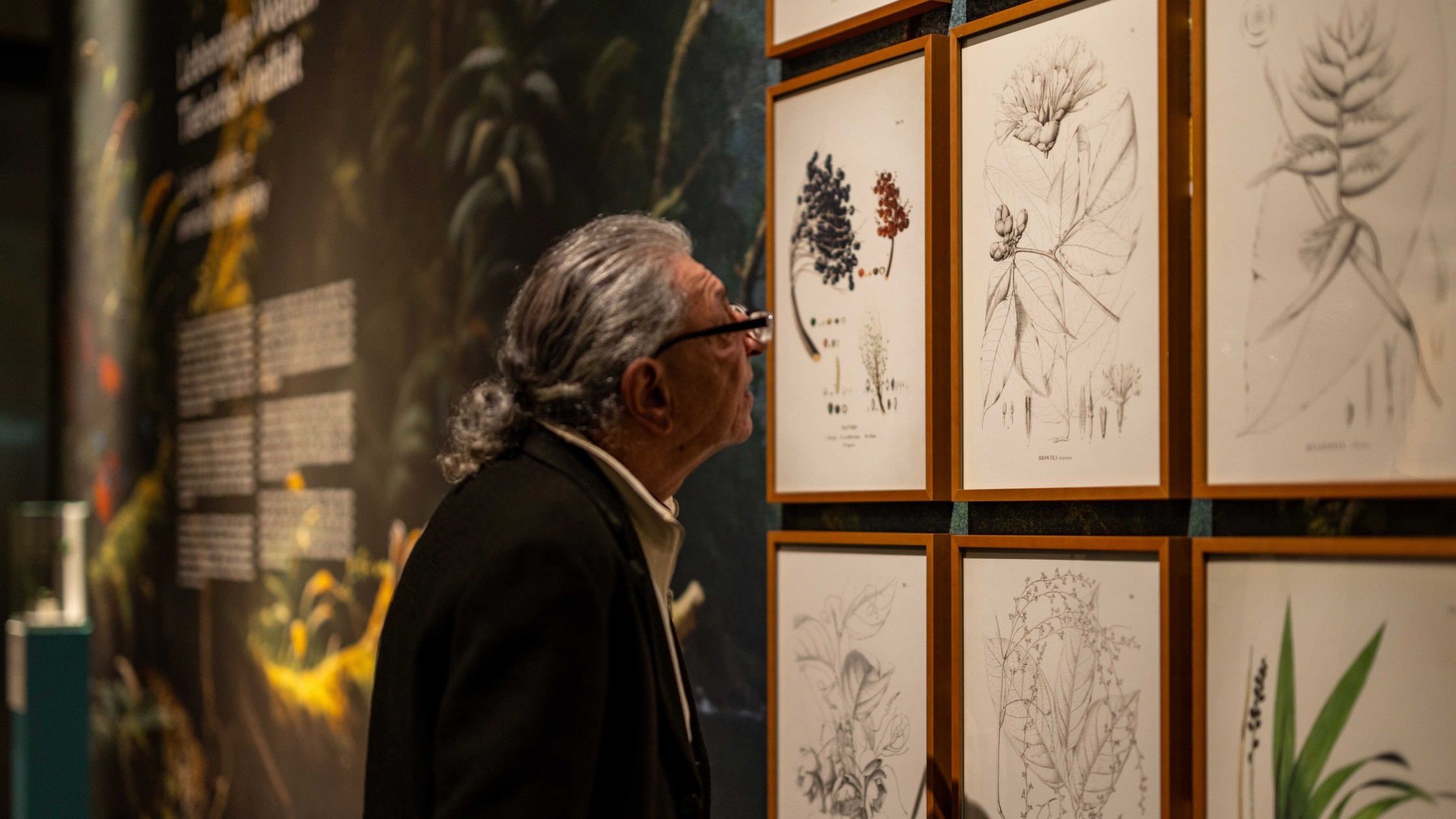 Ein Mann schaut sich interessiert die Amazonien Ausstellung an