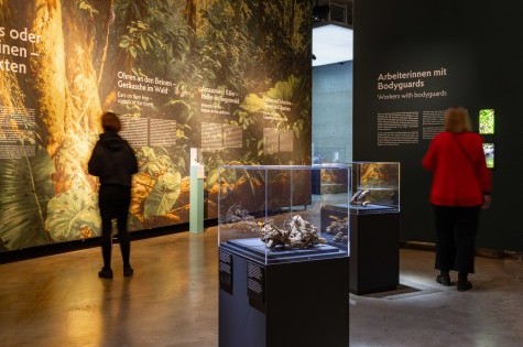 Zwei Frauen schauen sich unabhängig von einander die Amazonien Ausstellung an