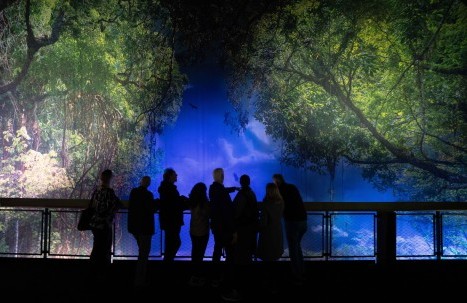 Eine Gruppenführung auf dem Panoramaturm