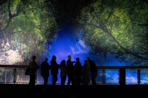 Eine Gruppenführung auf dem Panoramaturm