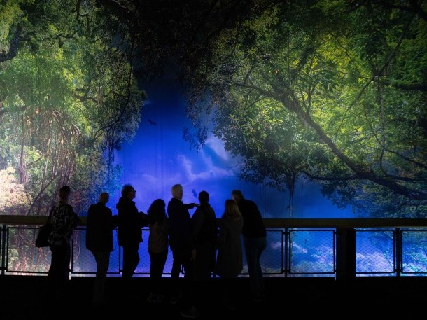 Eine Gruppenführung auf dem Panoramaturm
