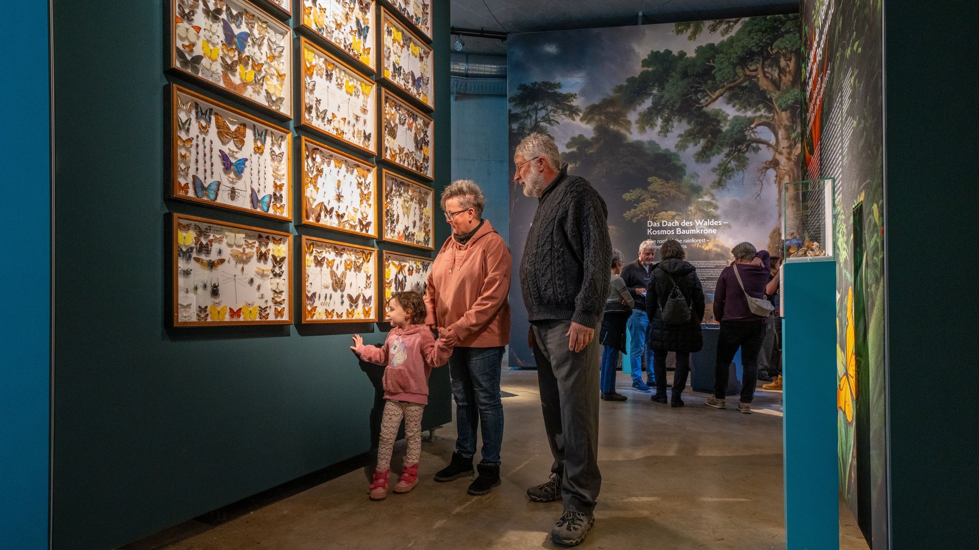 Familie mit Kind schauen sich die Schmetterlinge in der Ausstellung an