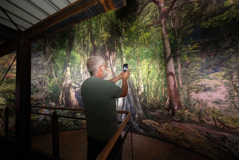 Mann fotografiert das Panorama Amazonien mit dem Handy