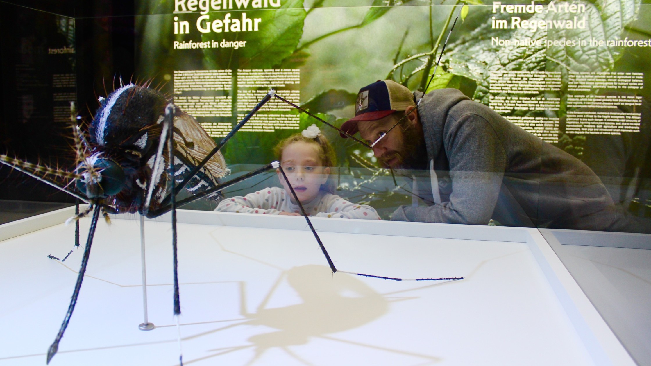 Kind schaut mit Vater die Amazonien Ausstellung an