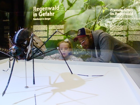Kind schaut mit Vater die Amazonien Ausstellung an