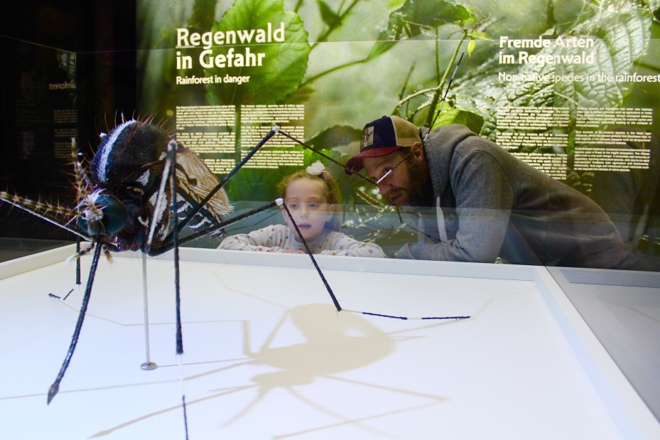 Kind schaut mit Vater die Amazonien Ausstellung an