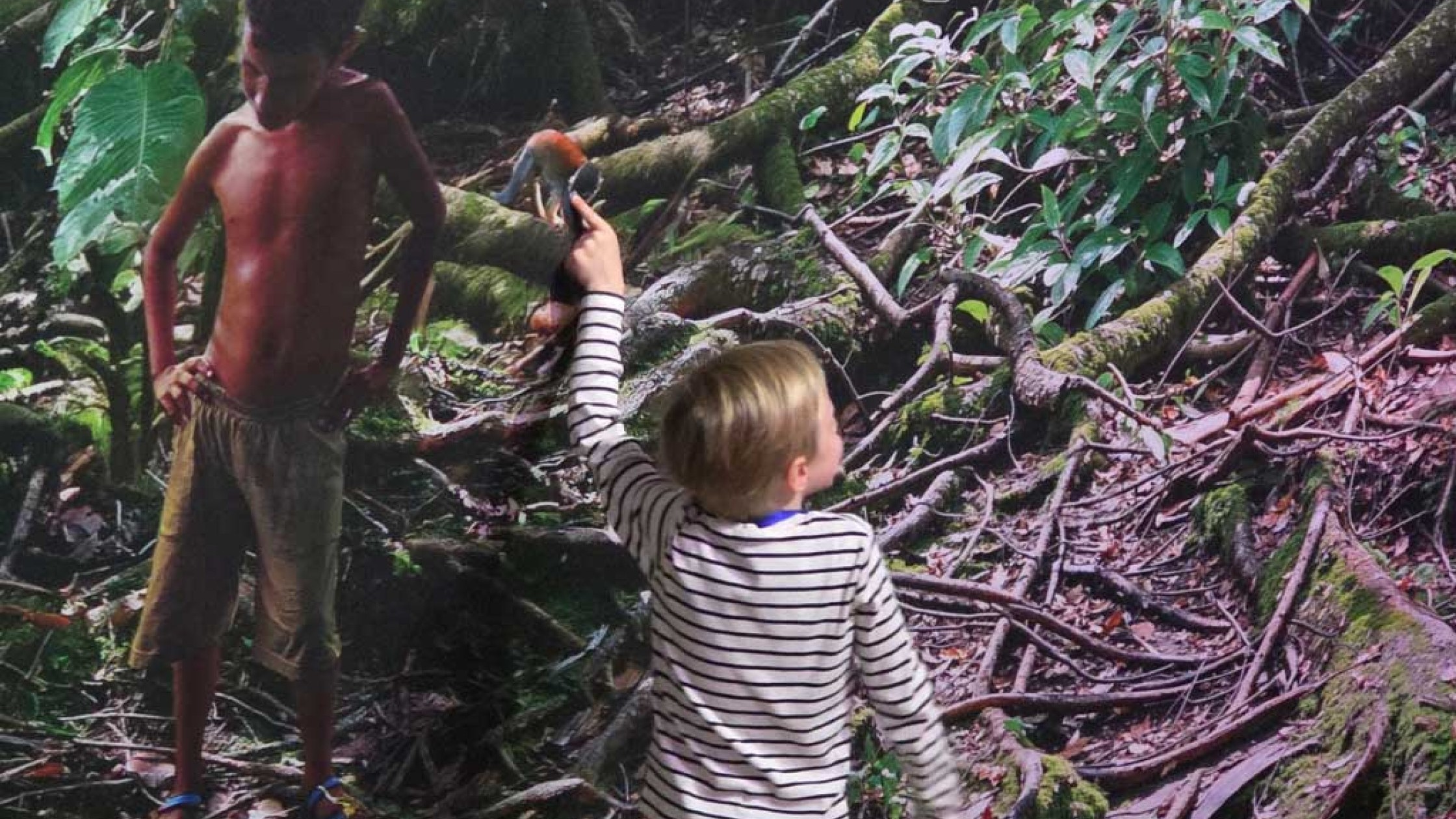 Ein Kind schaut sich das Panorama an