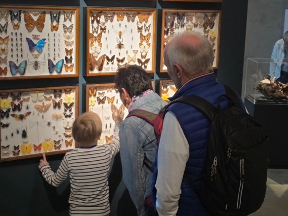 Kind mit Großeltern