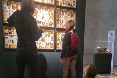 Kinder in der Ausstellung