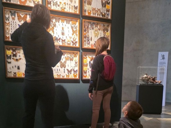 Kinder in der Ausstellung